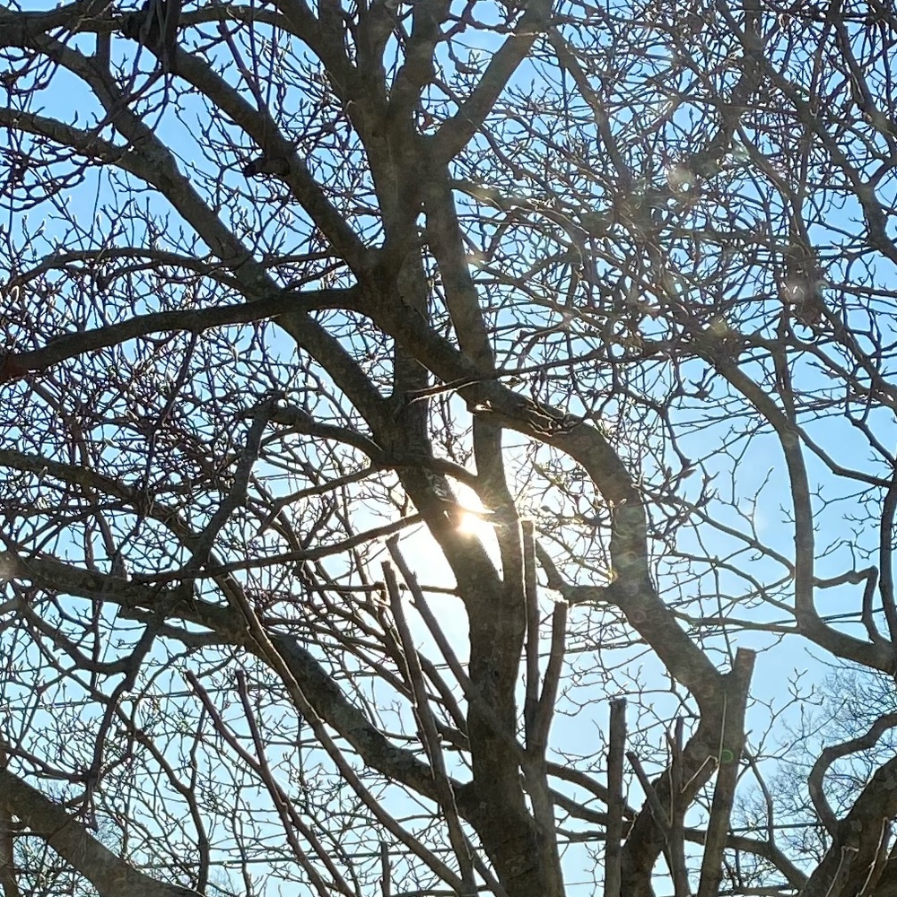 Meet your Posher, Edward